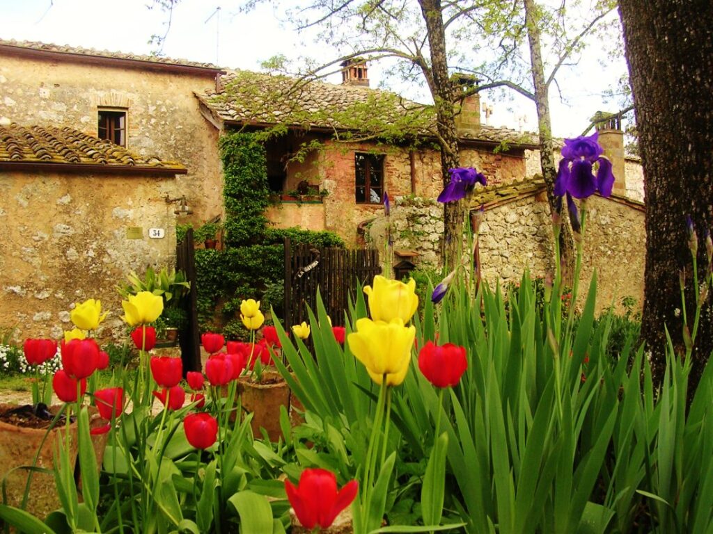 Wildflowers